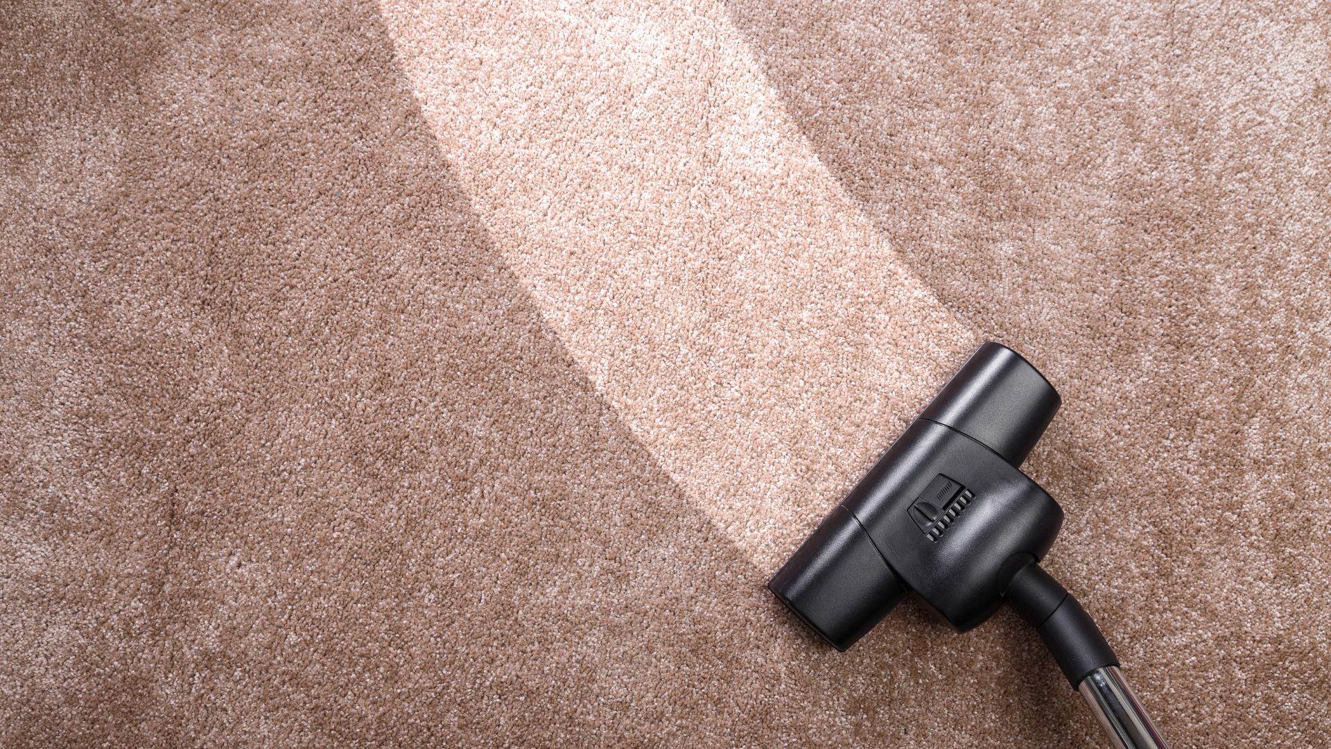 Professional carpet cleaning in a Catonsville home