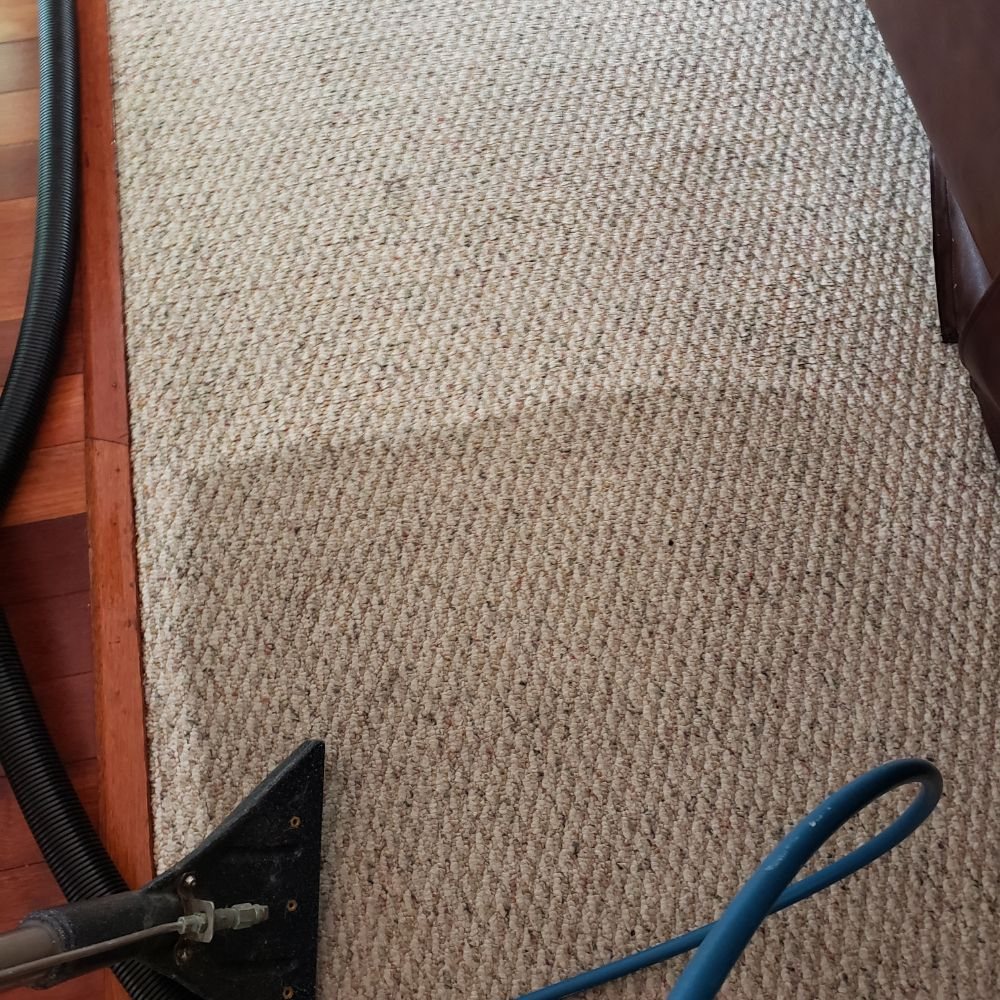 Half-cleaned carpet showing dramatic before and after on the same piece