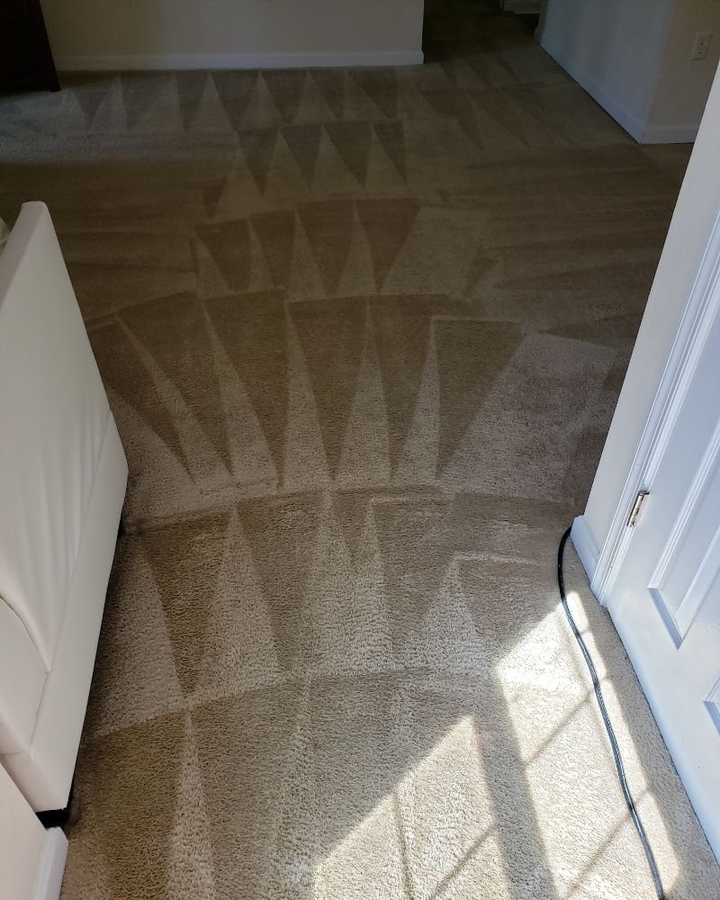 Carpet with detailed cleaning fan pattern
