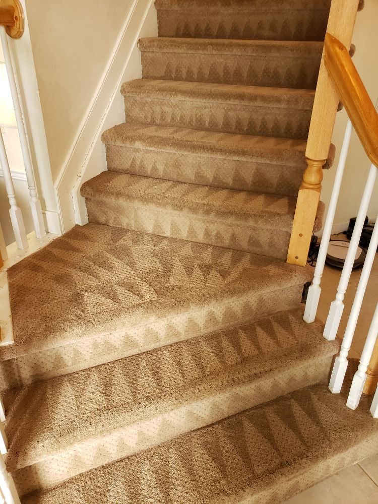 Freshly cleaned carpeted staircase