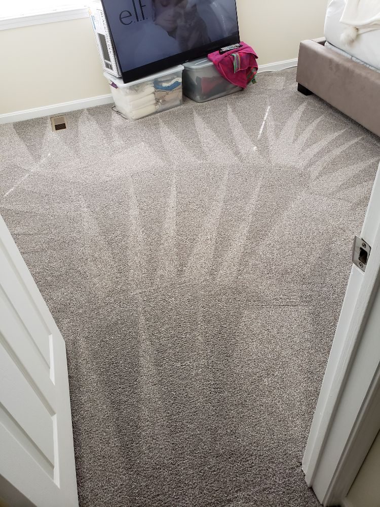 Gray bedroom carpet with crisp cleaning patterns