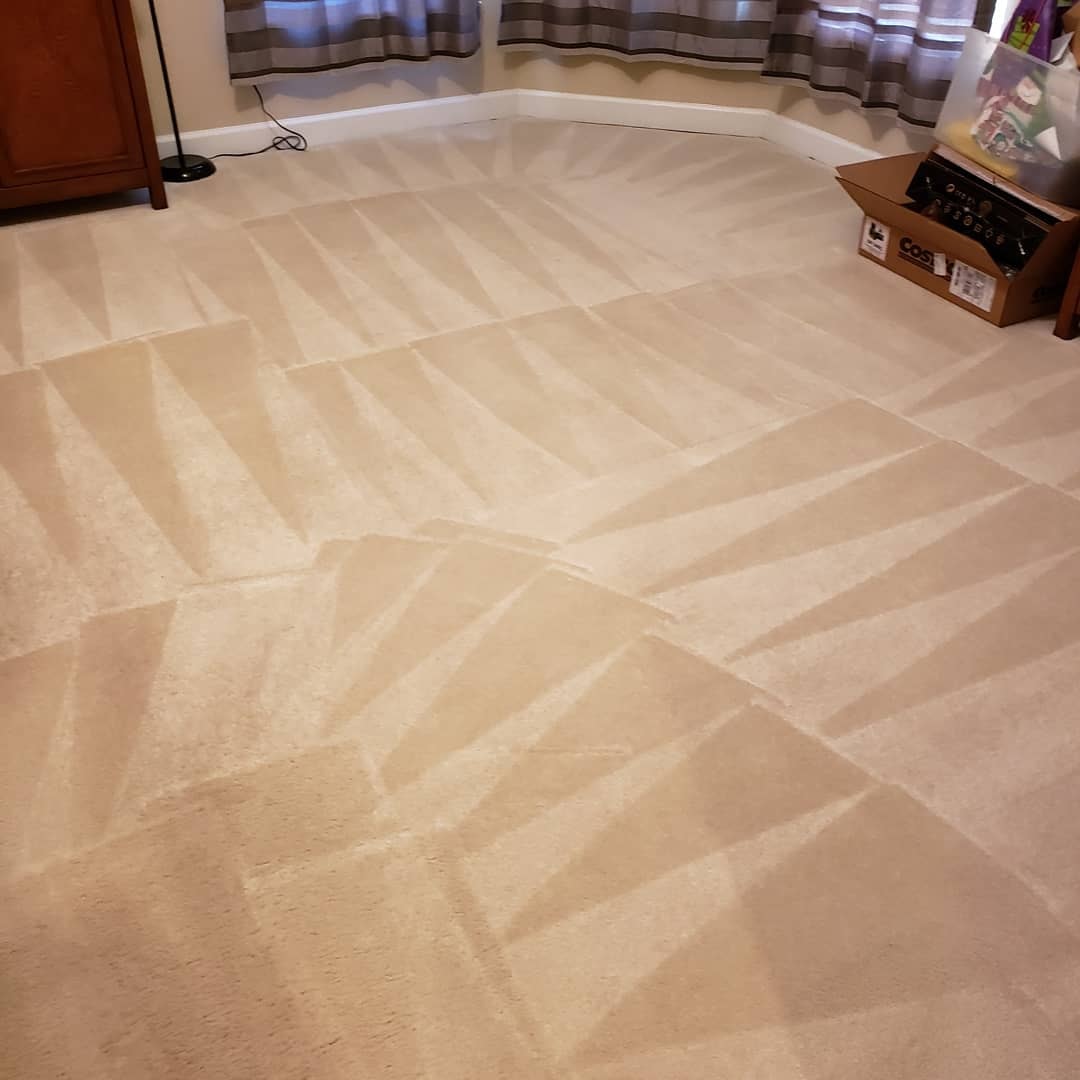Beige carpet showing dramatic fan cleaning pattern