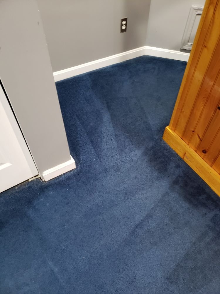Vibrant navy carpet after deep cleaning