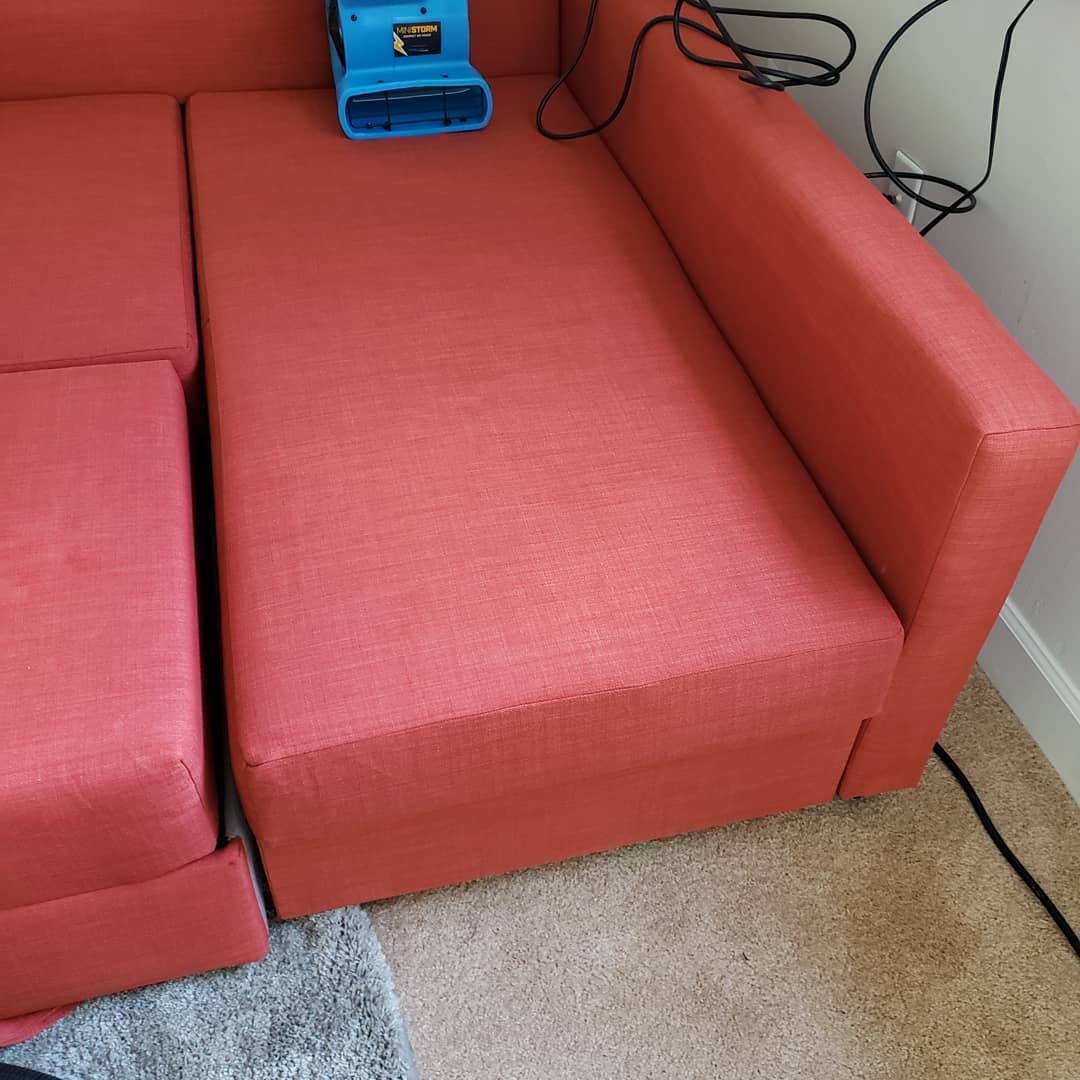 Upholstery cleaning with professional drying equipment