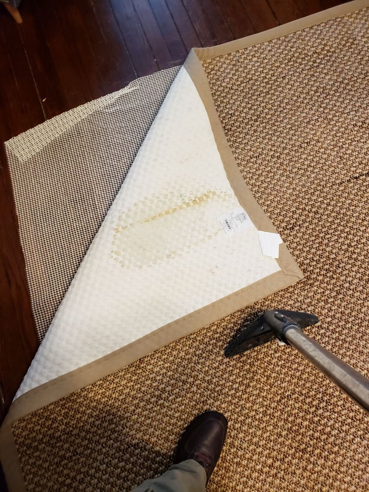 Area rug cleaning showing pad and rug